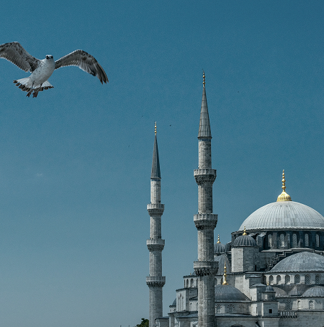 A seagull flies in the sky near the tall minarets and domes of a mosque, with a clear blue sky in the background.